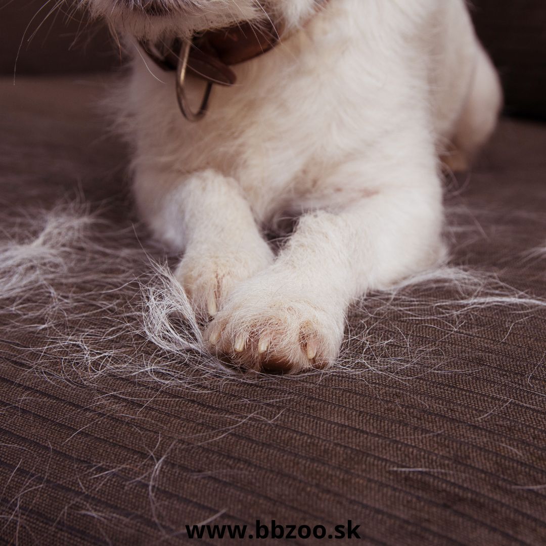 Koniec chlpom na gauči a oblečení. Ako si poradiť s extrémnym jarným pĺznutím